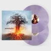 Kép 2/2 - AMORPHIS - SKYFORGER (1LP, COLOURED VINYL)