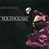 Kép 2/2 - DEAD OR ALIVE - YOUTHQUAKE (1LP, 180G, LIMITED GOLD COLOURED VINYL)