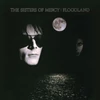 Kép 1/2 - SISTERS OF MERCY - FLOODLAND (1LP, LIMITED BLACK ICE COLOURED VINYL EDITION)