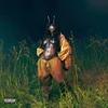 Kép 1/2 - SZA - SOS DELUXE: LANA (4LP, COLOURED VINYL. DELUXE EDITION)