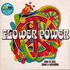 Kép 2/2 - VÁLOGATÁS - FLOWER POWER: BEST OF LOVE, PEACE & HAPPINESS (2LP, COLOURED VINYL)