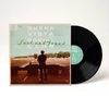 Kép 2/2 - BUENA VISTA SOCIAL CLUB - LOST AND FOUND (1LP, 180G, REISSUE)