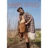 Kép 1/2 - HARRY STYLES - 2025 UNOFFICIAL CALENDAR (12 OLDALAS A/3 MÉRETŰ FALINAPTÁR)