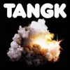 Kép 1/2 - IDLES - TANGK (1LP, LIMITED EDITION, COLOURED VINYL)