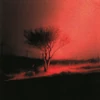 Kép 1/2 - JOJI - PISS IN THE WIND (1 LP, LIMITED PRISM SPLATTER COLOURED VINYL)