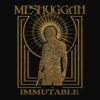 Kép 2/2 - MESHUGGAH - IMMUTABLE: THE INDELIBLE EDITION (2LP, COLOURED VINYL, REMASTERED)