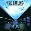 Kép 1/2 - the Calling - Camino Palmero