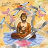 Kép 1/2 - VÁLOGATÁS - BUDDHA BAR: BEST OF VOL. 2. (3LP, COLOURED VINYL)