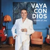 Kép 1/2 - VAYA CON DIOS - SHADES OF JOY (1LP, COLOURED VINYL)