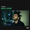 Kép 1/2 - WEEKND, THE - KISS LAND (2LP, 5 YEAR ANNIVERSARY COLOURED VINYL EDITION)