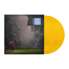 Vinyl (LP)