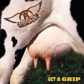 AEROSMITH - GET A GRIP (2LP, 180G)