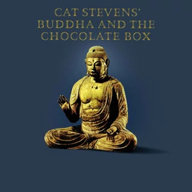 CAT STEVENS - BUDDHA AND THE CHOCOLATE BOX (1LP, 180G, REMASTERED)