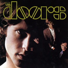 DOORS, THE - THE DOORS (1LP, STEREO)