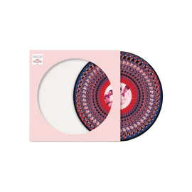 TAKE THAT - EVERYTHING CHANGES (1LP, ZOETROPE PICTURE DISC, NAD'24)