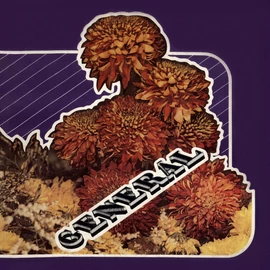 GENERÁL - II. (1CD)