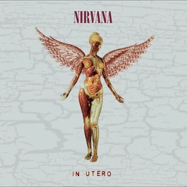 NIRVANA - IN UTERO (2CD,  30TH ANNIVERSARY DELUXE EDITION)