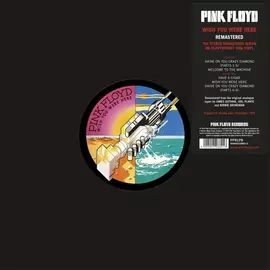 PINK FLOYD - WISH YOU WERE HERE (1LP, 180G, 2011 REMASTER)