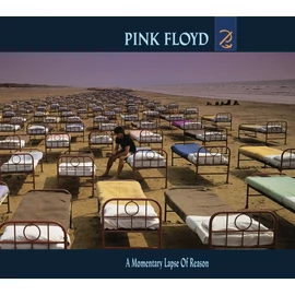 PINK FLOYD - A MOMENTARY LAPS OF REASON (1lp, 2016 REMASTER)
