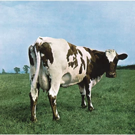 PINK FLOYD - ATOM HEART MOTHER (1LP, REISSUE, 2016 VERSION)