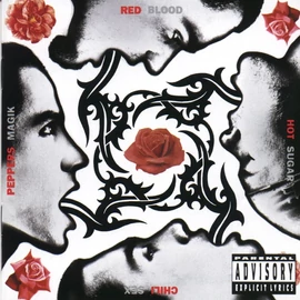RED HOT CHILI PEPPERS - BLOOD SUGAR SEX MAGIC (2LP, 180G)