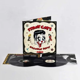STRAY CATS - RUNAWAY BOYS - THE ANTHOLOGY ( 40TH ANNIVERSARY EDITION, HALF SPEED MASTERED)