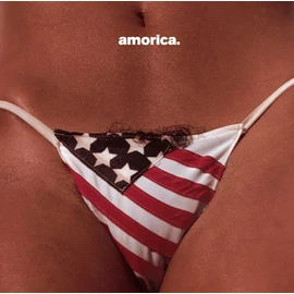 THE BLACK CROWES - AMORICA (2LP, 180G, REISSUE, 2025 REMASTER)