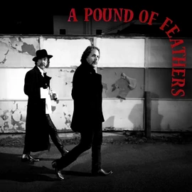 Black Crowes - A Pound of Feathers