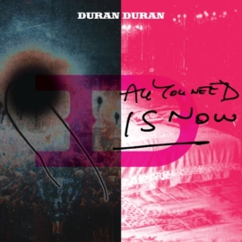 DURAN DURAN - ALL YOU NEED IS NOW (2LP)