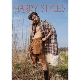 HARRY STYLES - 2025 UNOFFICIAL CALENDAR (12 OLDALAS A/3 MÉRETŰ FALINAPTÁR)