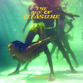 Janelle Monae - Age of Pleasure