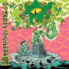 King Gizzard &amp; the Lizard Wizard - Teenage Gizzard