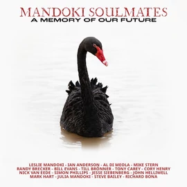 MANDOKI SOULMATES - THE MEMORY OF OUR FUTURE (2LP, 180G, ANALOG RECORDING)