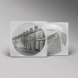 MANIC STREET PREACHERS - CRITICAL THINKING (1LP, ALTERNATIVE COVER, PICTURE DISC)