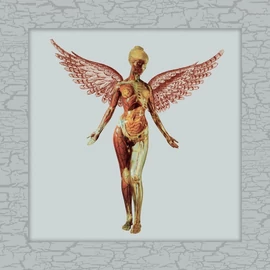 NIRVANA - IN UTERO (5CD,  30TH ANNIVERSARY SUPER DELUXE EDITION)