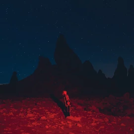 PHOEBE BRIDGERS - PUNISHER (1LP)