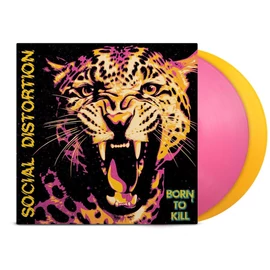 Social Distortion - Born To Kill