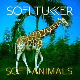 SOFI TUKKER - SOFT ANIMALS (1EP)