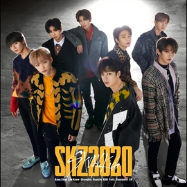 STRAY KIDS - SKZ2020 (2CD + BOOKLET, PHOTOS - VÁLOGATÁS)