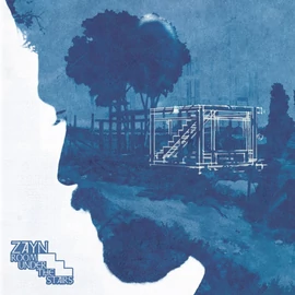 ZAYN - ROOM UNDER THE STAIRS (2LP, COLOURED VINYL)