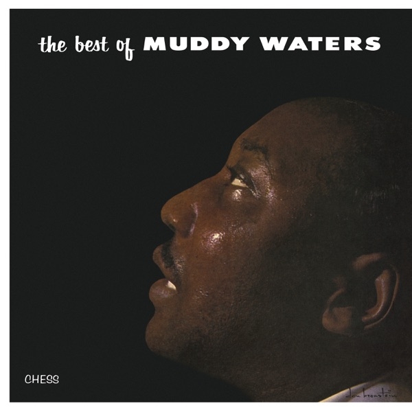 MUDDY WATERS - THE BEST OF MUDDY WATERS (1LP)