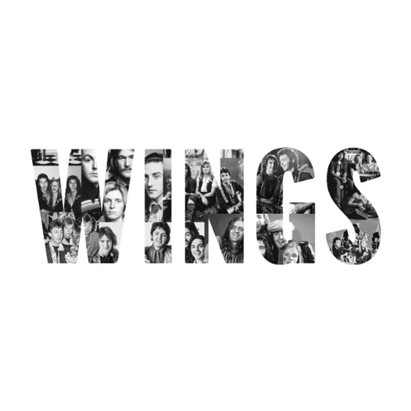 PAUL MCCARTNEY &amp; WINGS - WINGS (1LP, 180G)