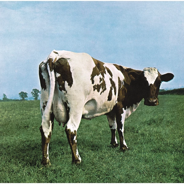 PINK FLOYD - ATOM HEART MOTHER (1LP, REISSUE, 2016 VERSION)