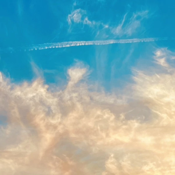 THIRTY SECONDS TO MARS - IT'S THE END OF THE WORLD, BUT IT'S A BEAUTIFUL DAY (1LP)