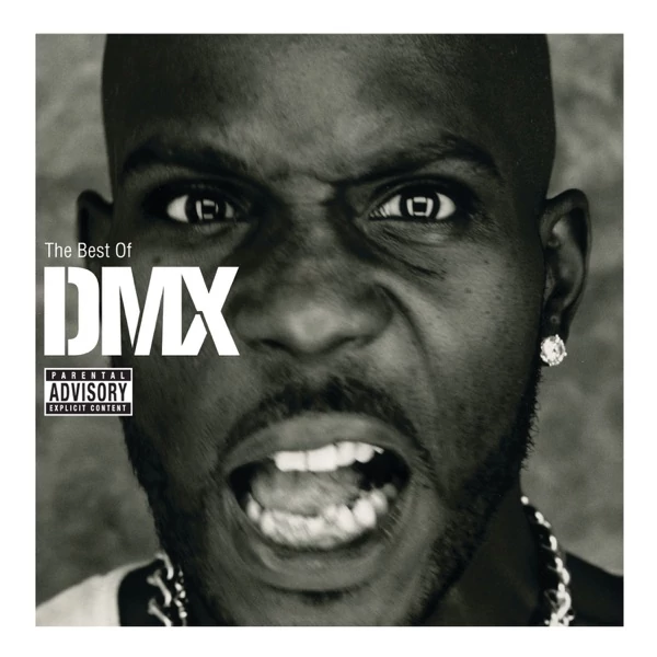 DMX - THE BEST OF (1CD)