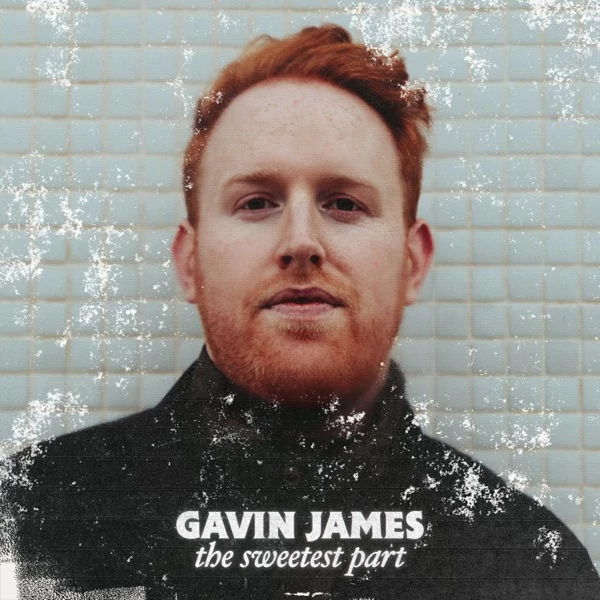 GAVIN JAMES - THE SWEETEST PART (1LP)