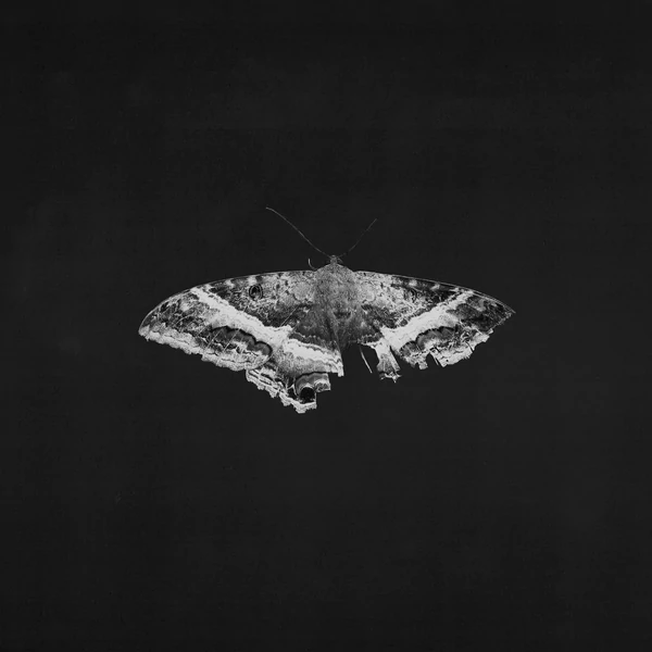 KENDRICK LAMAR - TO PIMP A BUTTERFLY (2LP, LIMITED ANNIVERSARY EDITION)