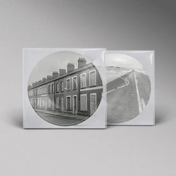 MANIC STREET PREACHERS - CRITICAL THINKING (1LP, ALTERNATIVE COVER, PICTURE DISC)