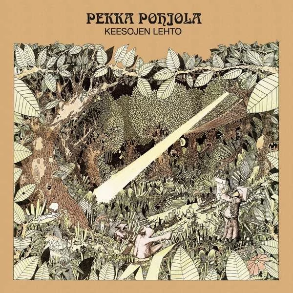 PEKKA POHJOLA - KEESOJEN LEHTO (MATHEMATICIAN'S AIR DISPLAY)