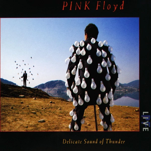 PINK FLOYD - DELICATE SOUND OF THUNDER 2cd